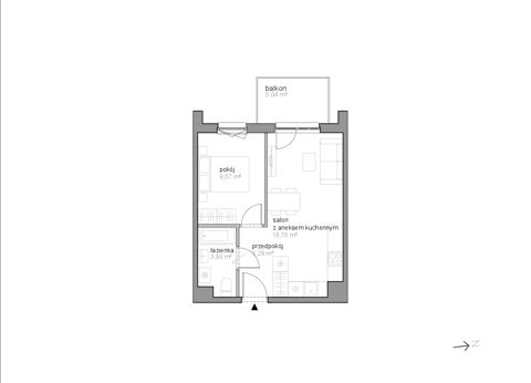 Plan 2 pok. 36m²