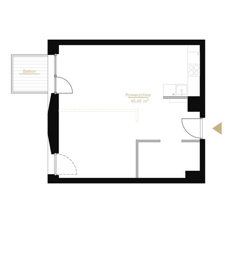 Plan 1 pok. 45m²