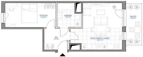 Plan 2 pok. 43m²