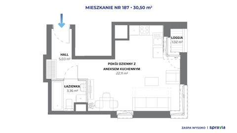 Plan 1 pok. 31m²