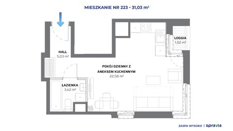 Plan 1 pok. 31m²