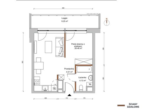 Plan 1 pok. 35m²