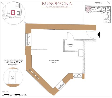 Plan 1 pok. 46m²