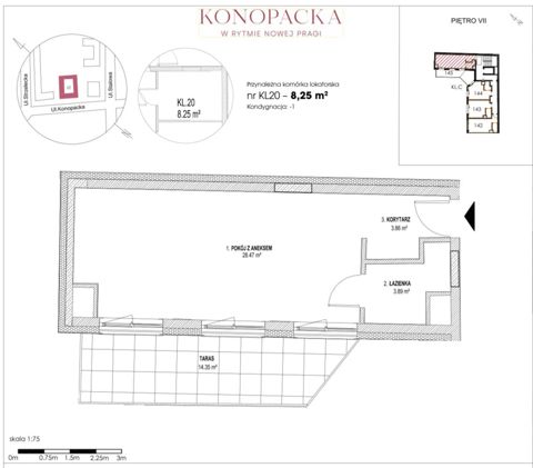 Plan 1 pok. 36m²