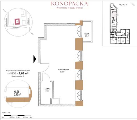 Plan 1 pok. 36m²
