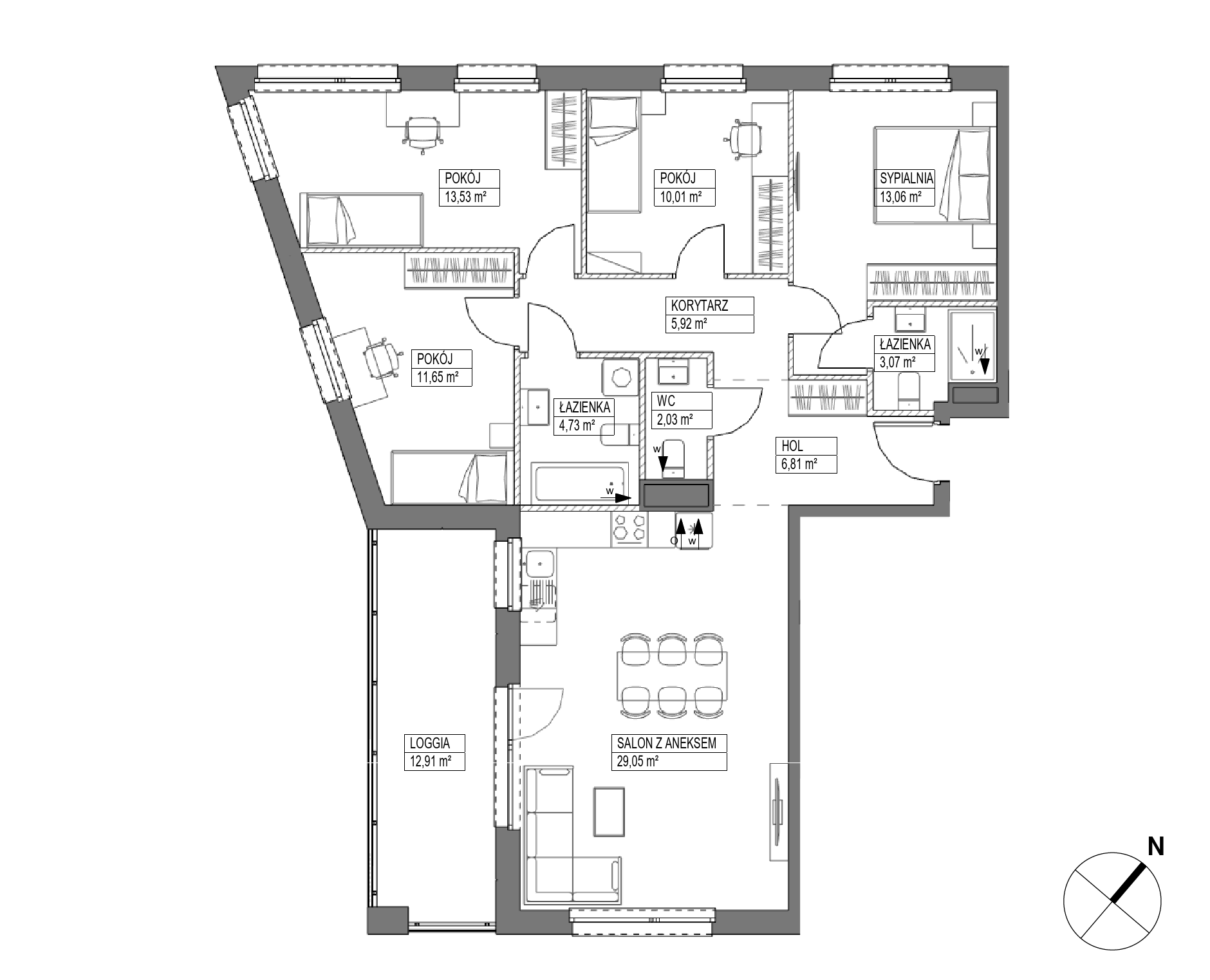 Plan 5 pok. 100m²