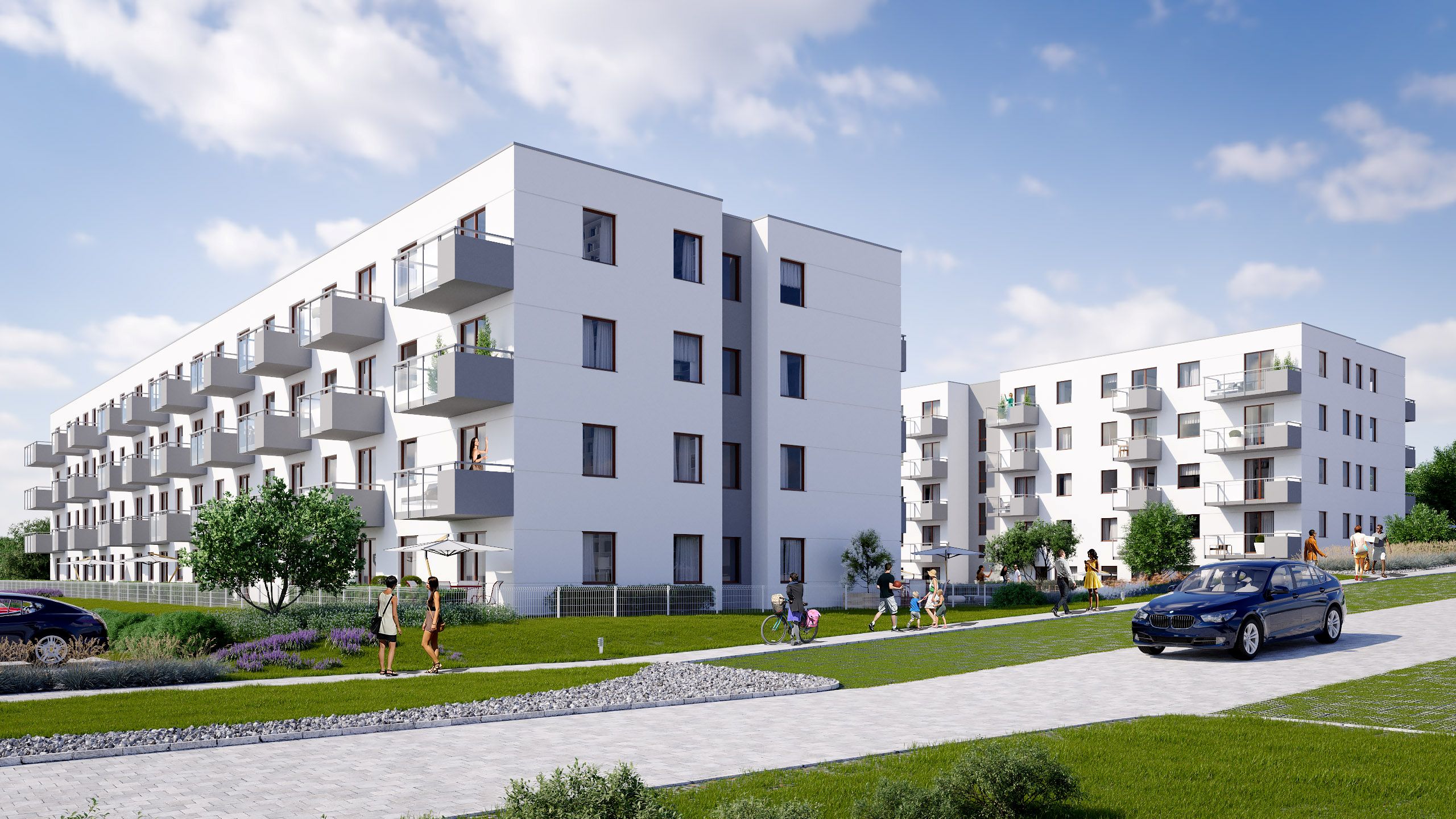 Lawendowe Wzgórza — Gdańsk