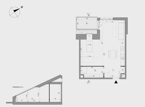 Plan 1 pok. 41m²